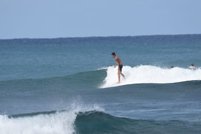 DSC_8669.JPG