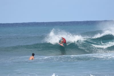 DSC_8674.JPG