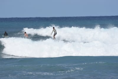 DSC_8675.JPG