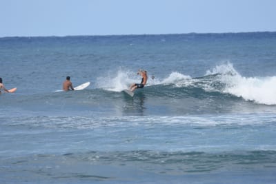 DSC_8677.JPG