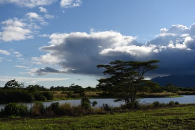 DSC_2227.JPG