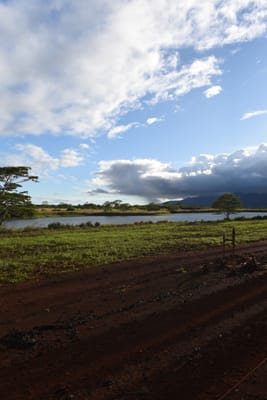 DSC_2229.JPG