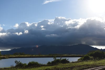 DSC_2230.JPG