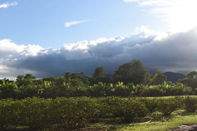 DSC_2233.JPG