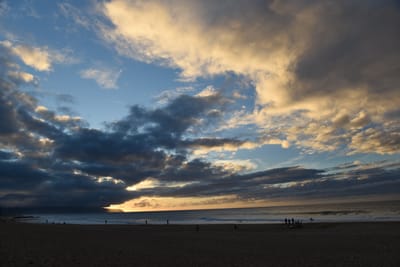 DSC_2234.JPG