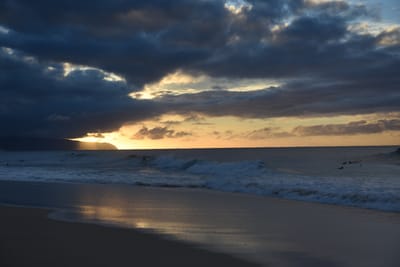 DSC_2236.JPG