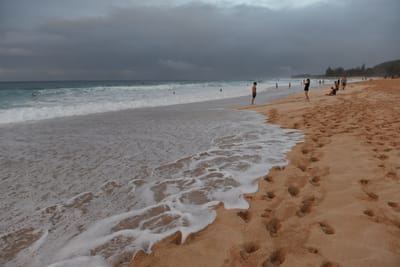 DSC_2237.JPG