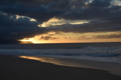 DSC_2238.JPG