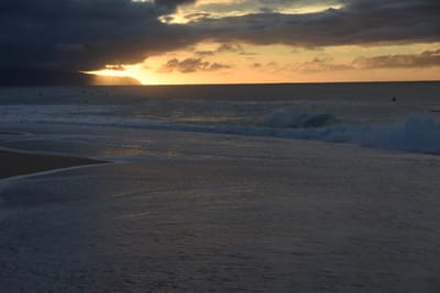 DSC_2239.JPG