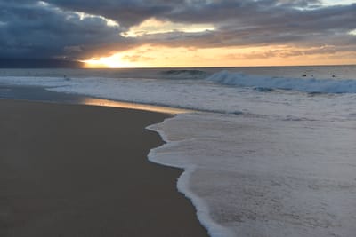 DSC_2244.JPG