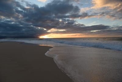 DSC_2246.JPG