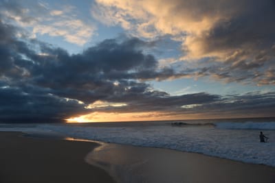 DSC_2247.JPG