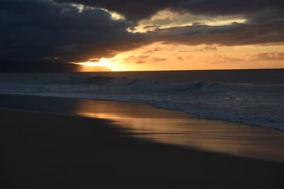 DSC_2249.JPG