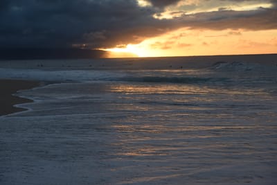 DSC_2250.JPG