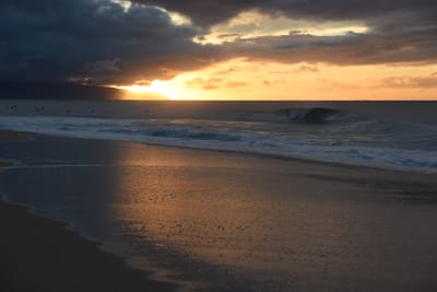 DSC_2252.JPG