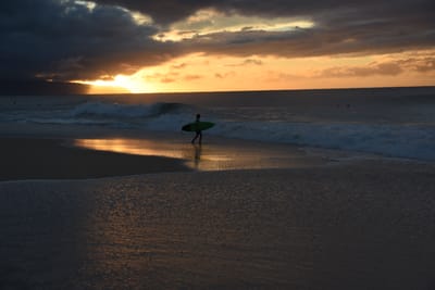 DSC_2256.JPG