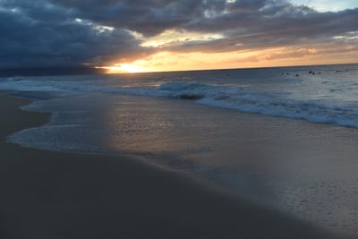 DSC_2259.JPG