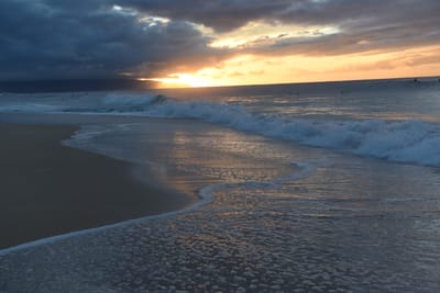 DSC_2261.JPG