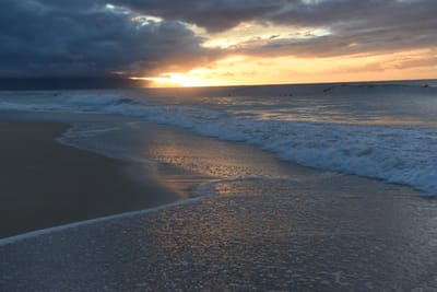 DSC_2262.JPG