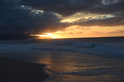 DSC_2263.JPG