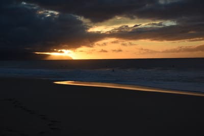 DSC_2264.JPG