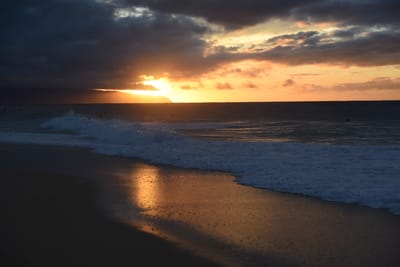 DSC_2270.JPG