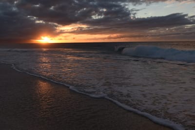 DSC_2272.JPG