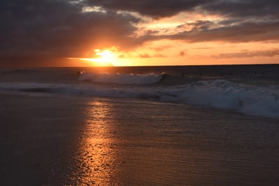 DSC_2273.JPG
