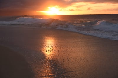 DSC_2275.JPG