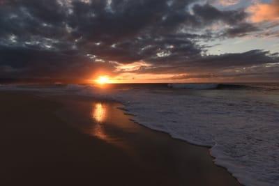 DSC_2278.JPG