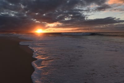 DSC_2279.JPG