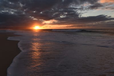 DSC_2280.JPG