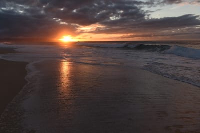 DSC_2281.JPG