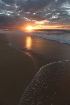 DSC_2282.JPG