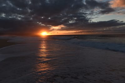 DSC_2283.JPG
