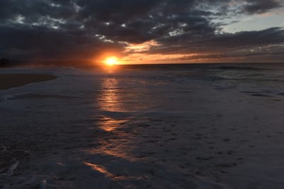 DSC_2285.JPG