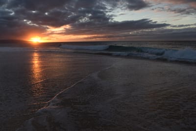 DSC_2288.JPG