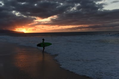 DSC_2291.JPG