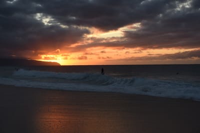 DSC_2293.JPG