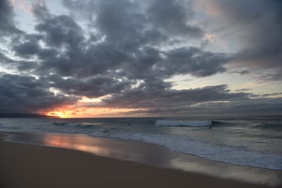 DSC_2297.JPG
