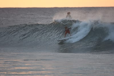 DSC_8684.JPG