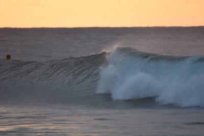 DSC_8685.JPG