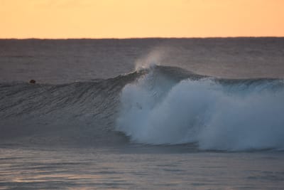 DSC_8686.JPG