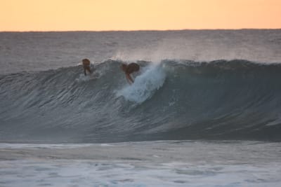 DSC_8687.JPG