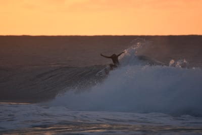 DSC_8692.JPG