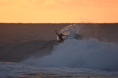 DSC_8693.JPG