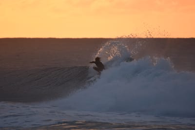 DSC_8694.JPG