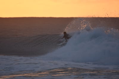 DSC_8695.JPG