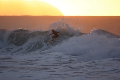 DSC_8697.JPG