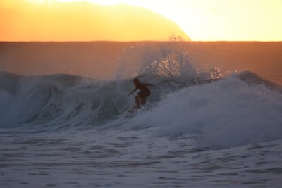 DSC_8698.JPG